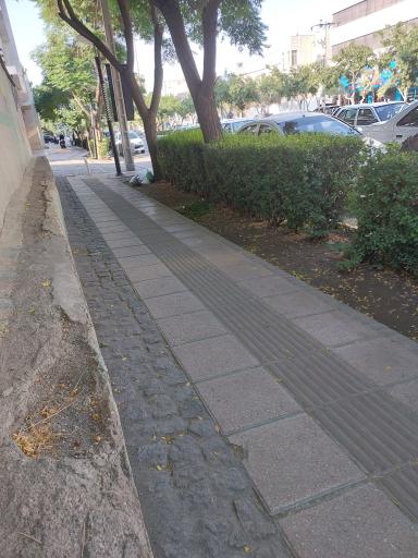 عکس  کلاهدوز 9