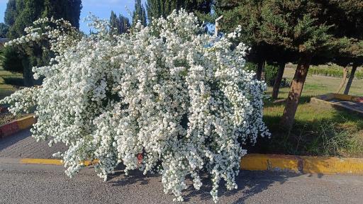 عکس استراحتگاه کارگری سنگاچین