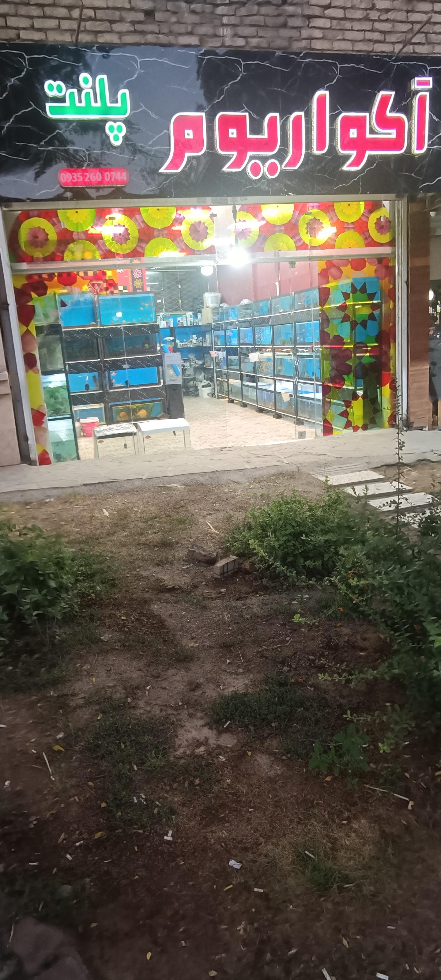 عکس آکواریوم پلنت