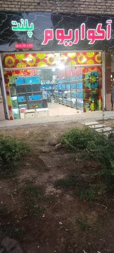 عکس آکواریوم پلنت
