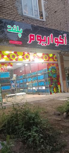 عکس آکواریوم پلنت