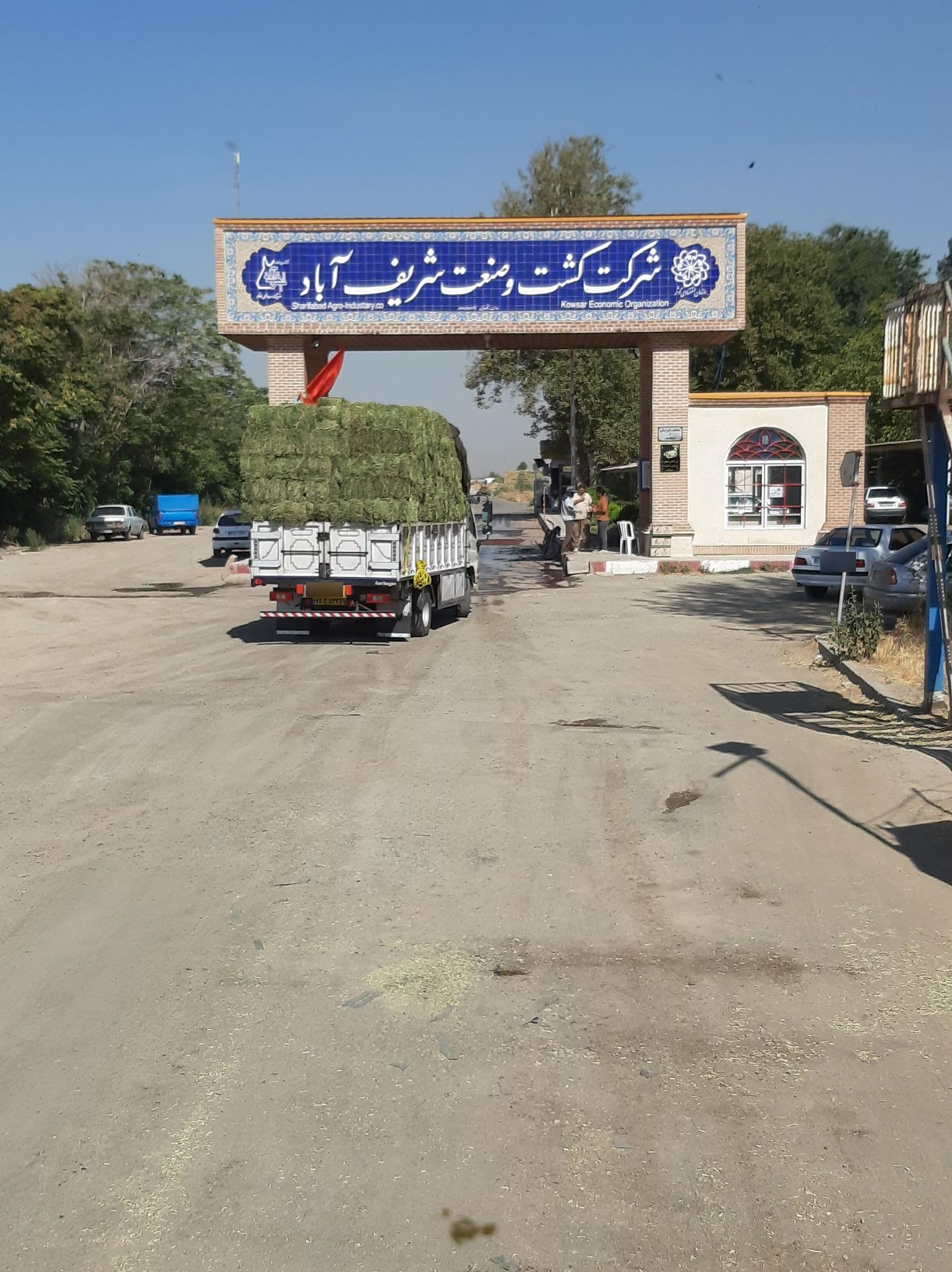 عکس کشت و صنعت شریف آباد