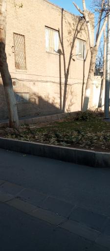 عکس بوستان سرگرد محبی