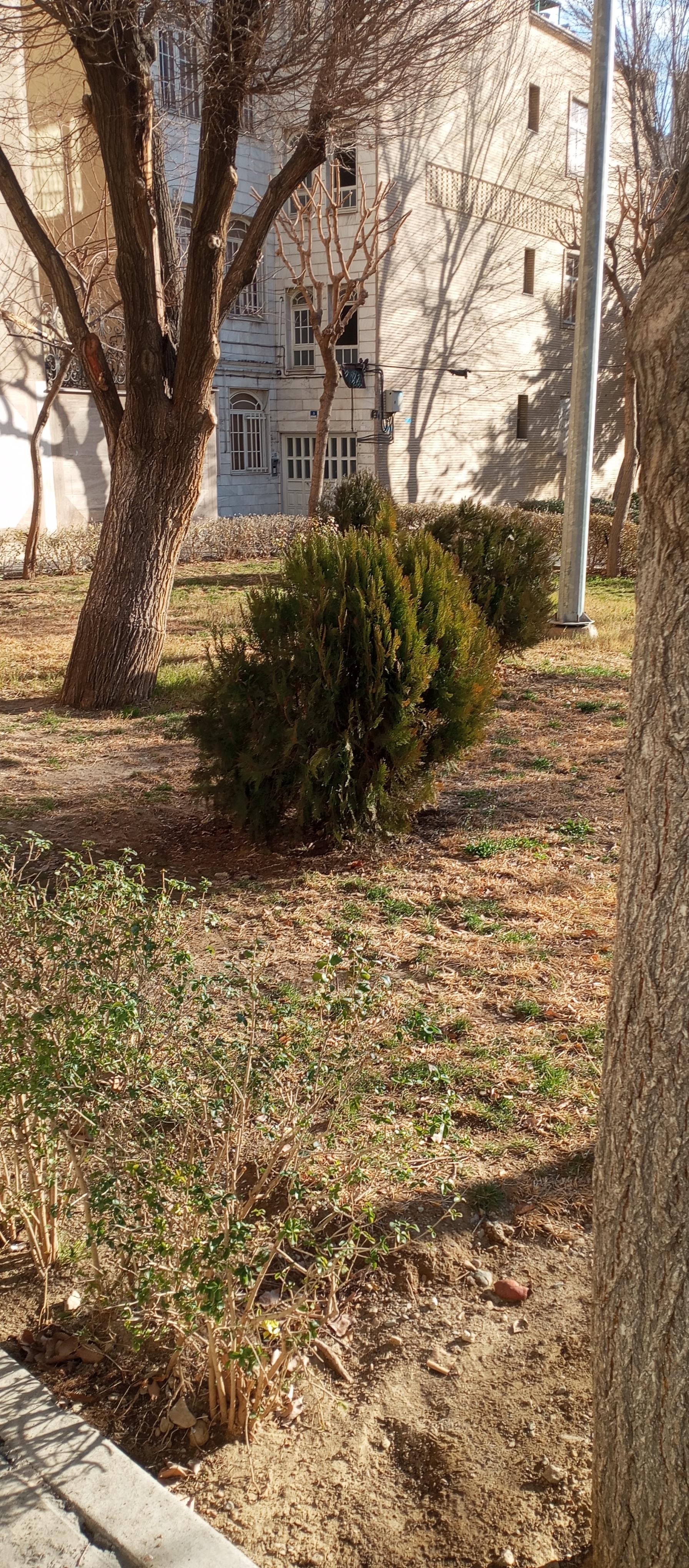 عکس بوستان سرگرد محبی