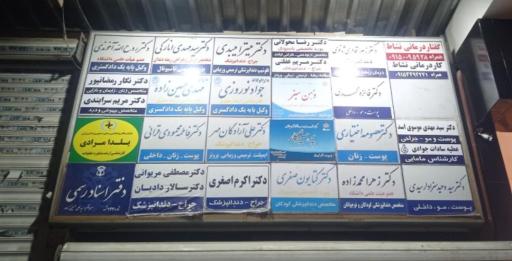 عکس دکتر فاطمه محمودی قرائی