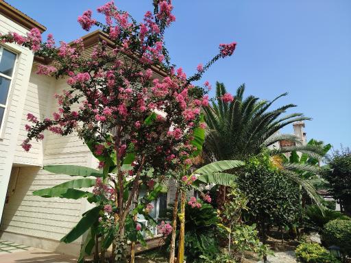 عکس هتل سوسره