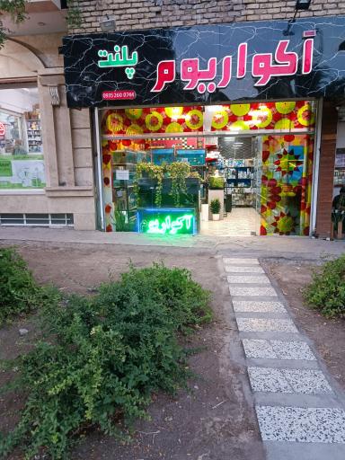 عکس آکواریوم پلنت