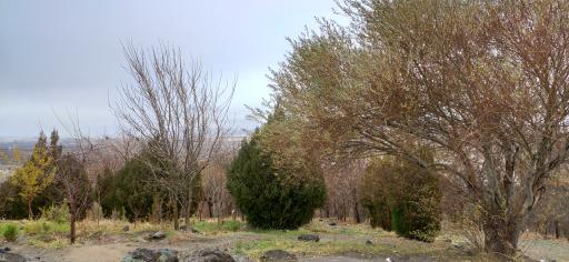 عکس تفرجگاه کیوه رش بام بوکان