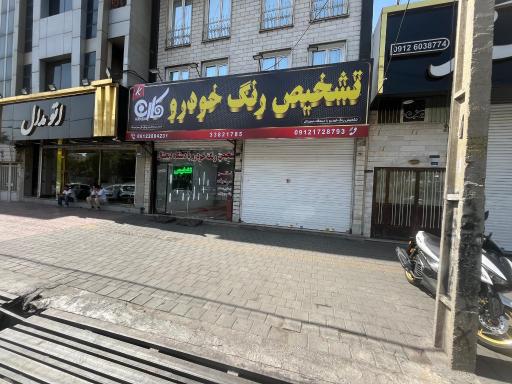 عکس تشخیص رنگ خودرو  کارن 