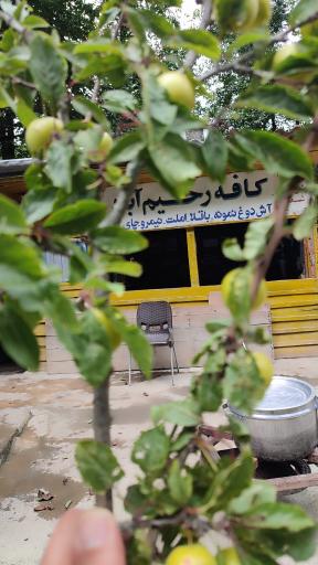 عکس کافه رحیم آباد
