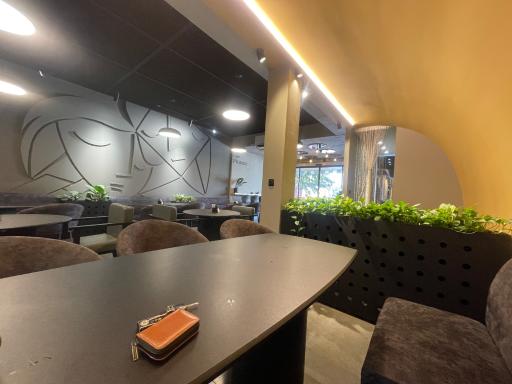 عکس کافه پیکاسو