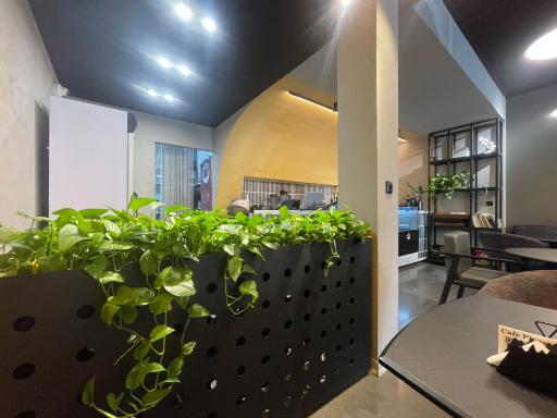 عکس کافه پیکاسو