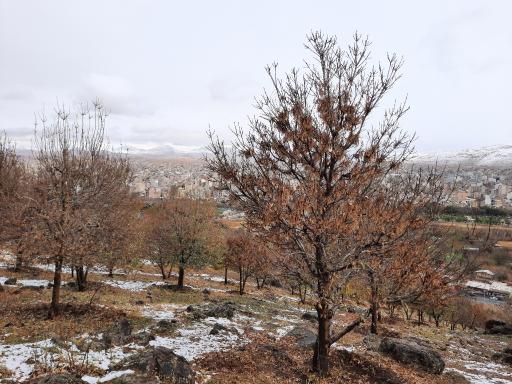 عکس تفرجگاه کیوه رش بام بوکان