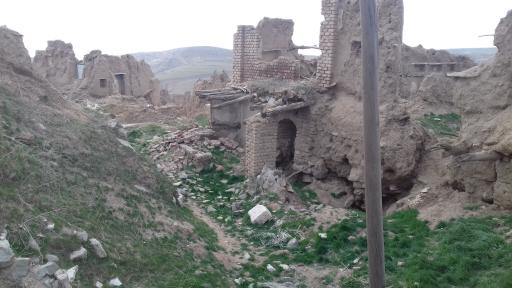 عکس کبوترلان