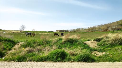 عکس تفرجگاه کیوه رش بام بوکان