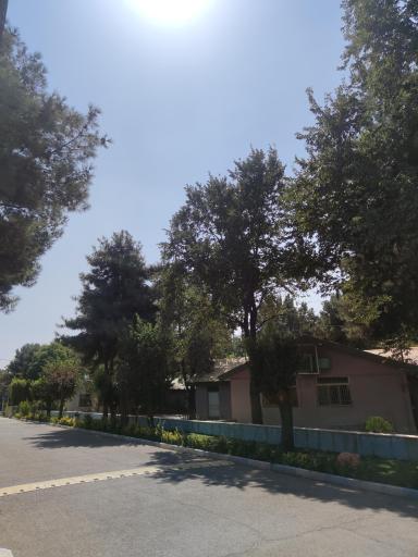 عکس آسایشگاه معلولین و سالمندان شهر قدس