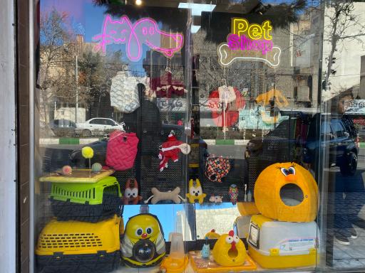 عکس پتشاپ بهراد