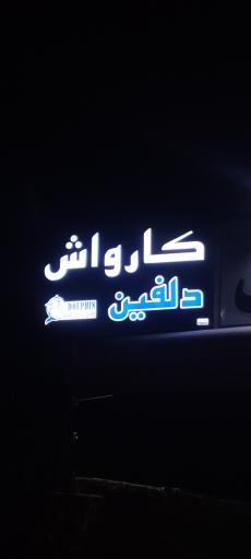 کارواش دلفین 