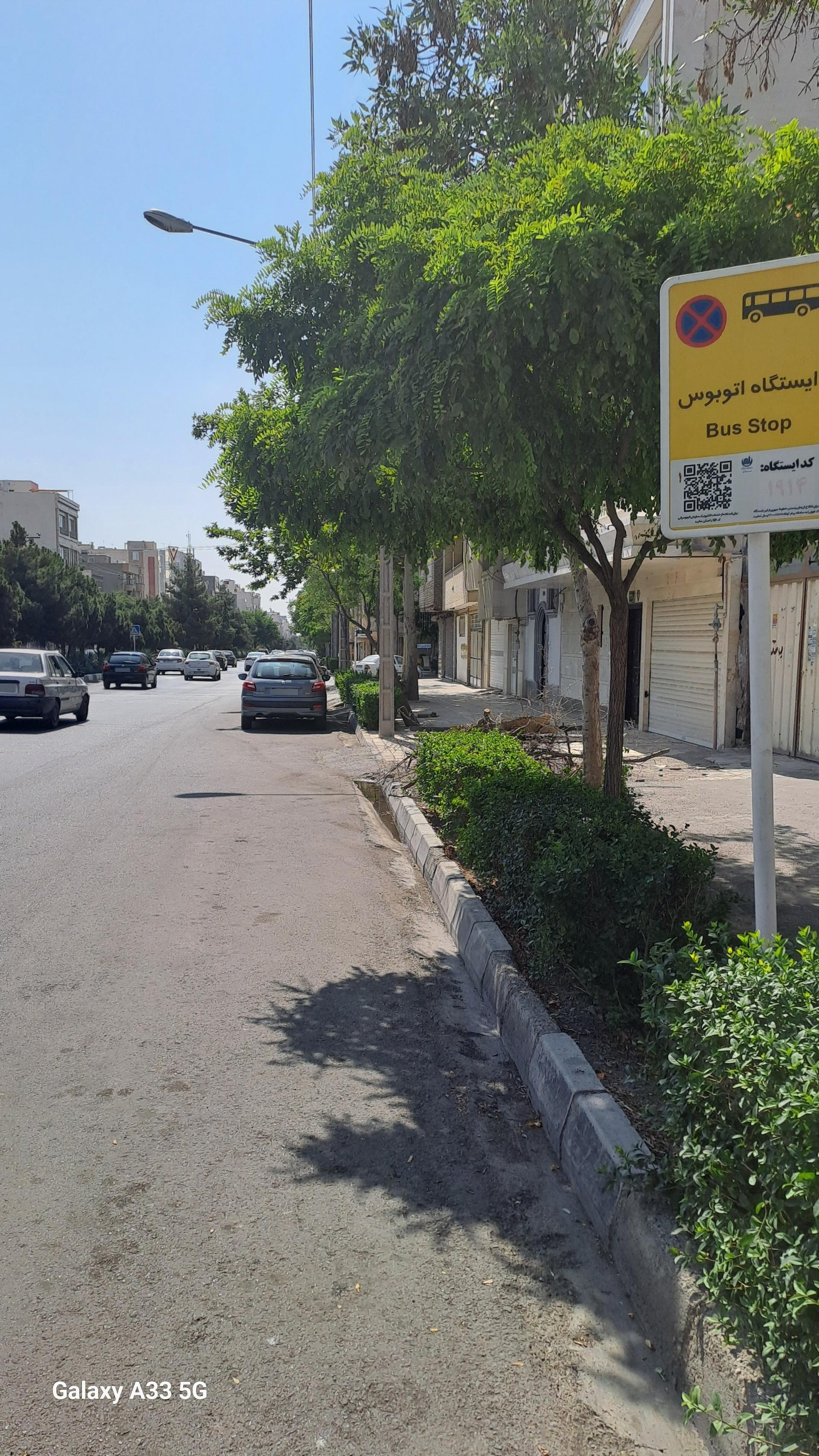 عکس  فرهنگ 16