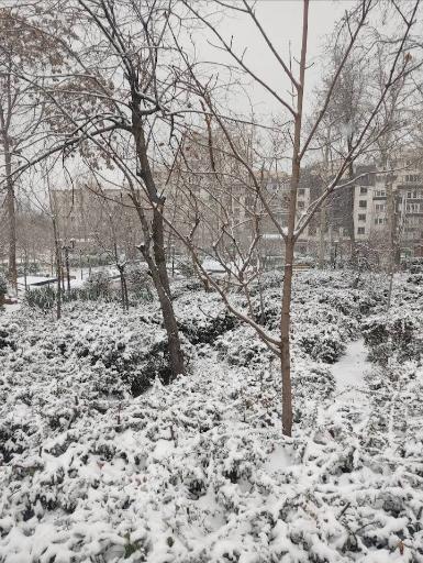 عکس بوستان پدر