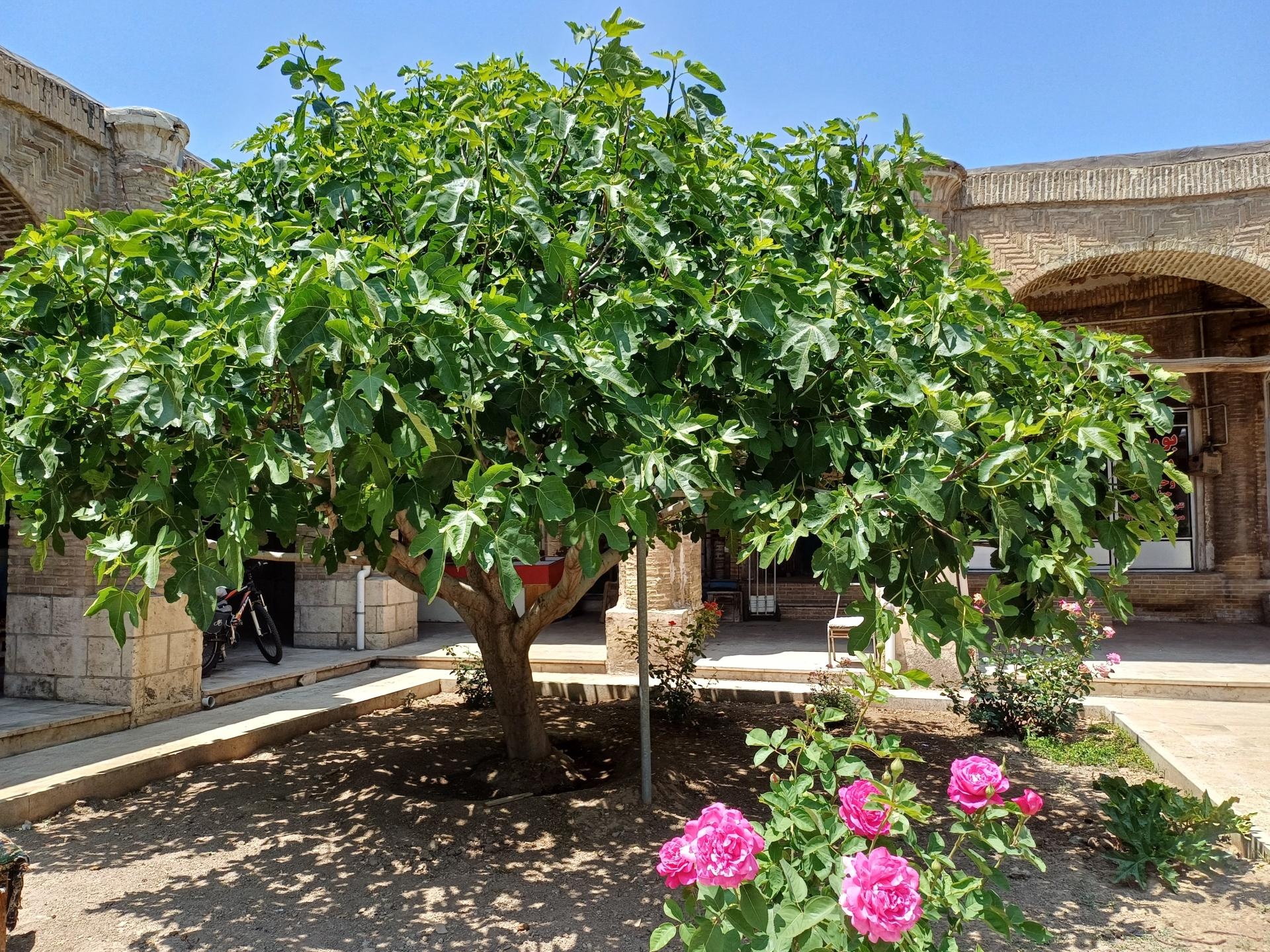 عکس بازار بزرگ زنجان