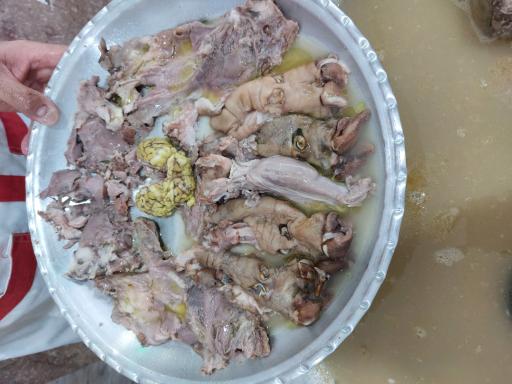 عکس طباخی دلچسب