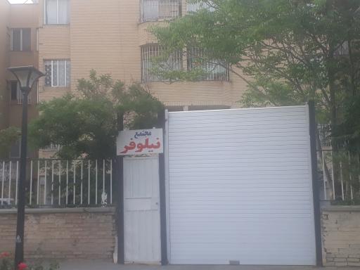 عکس مجتمع نیلوفر