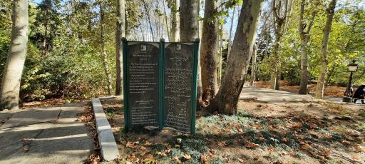 عکس مدل هیدرولیکی بند امیر