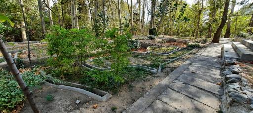 عکس مدل هیدرولیکی بند امیر