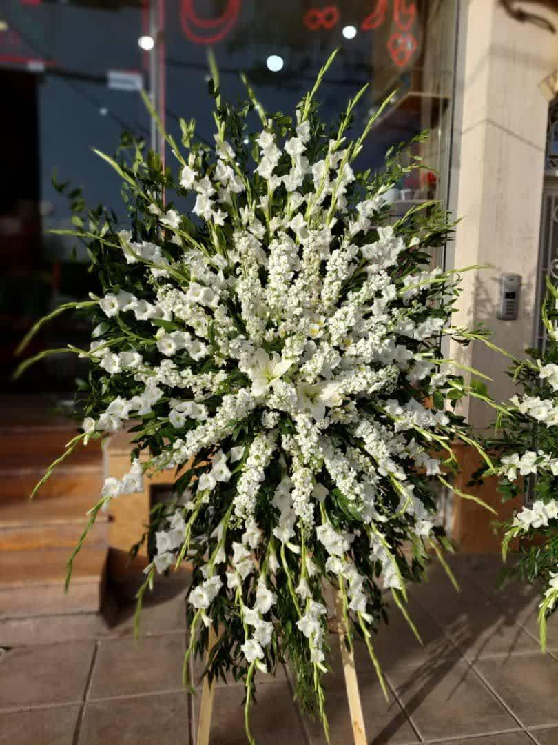 عکس گل فروشی گلبان