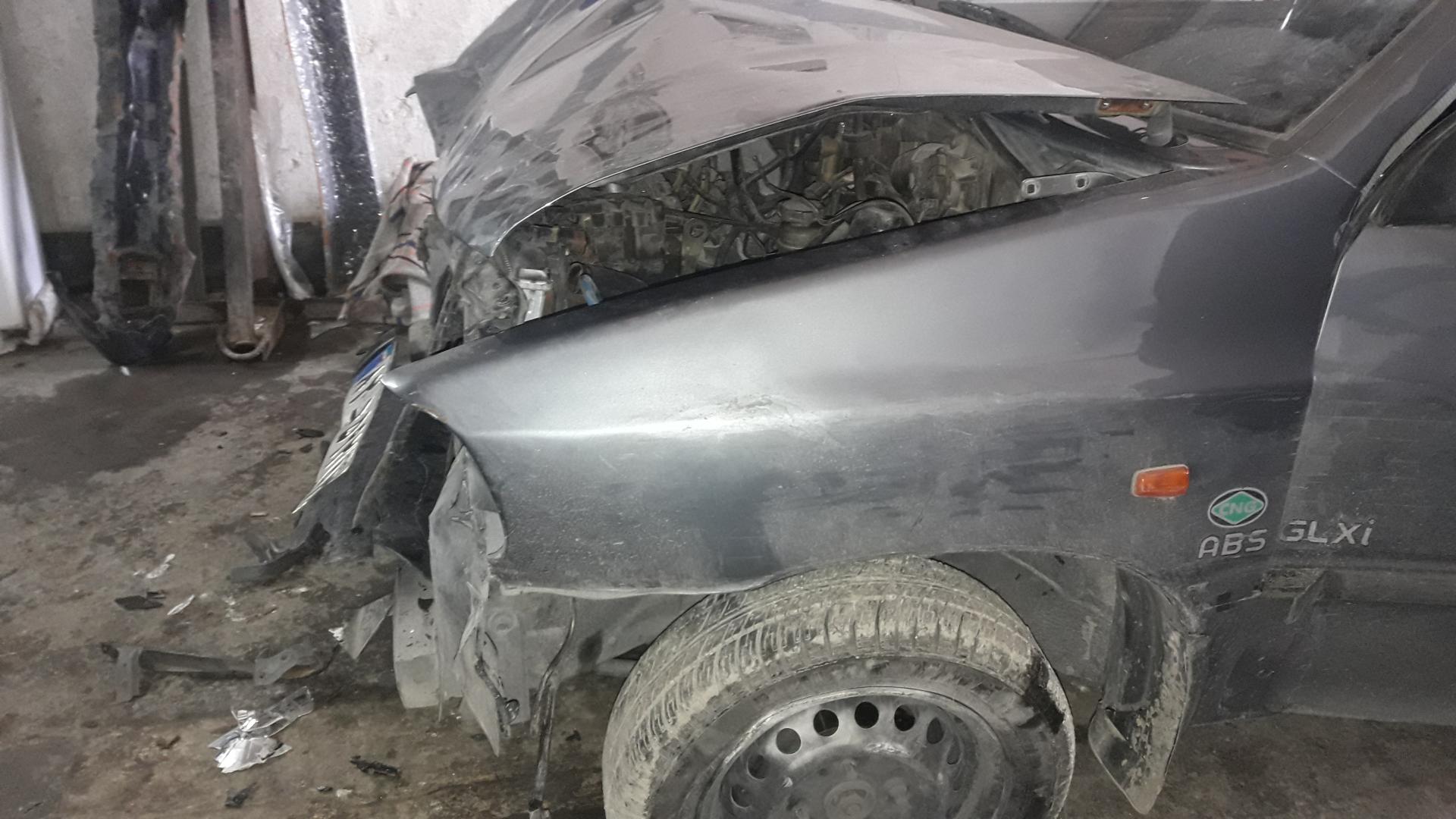 عکس صافکاری و نقاشی یکتا (اکبری)