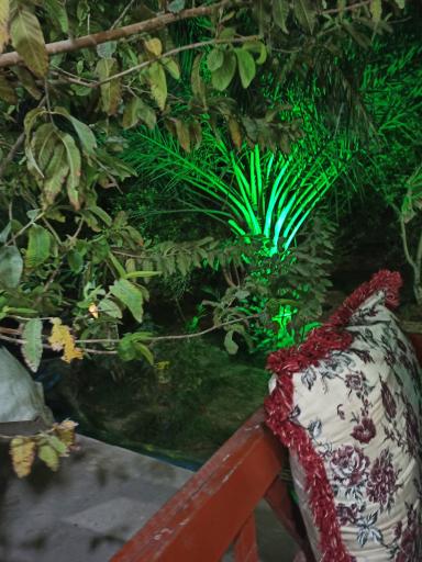 شو نشین دفاری
