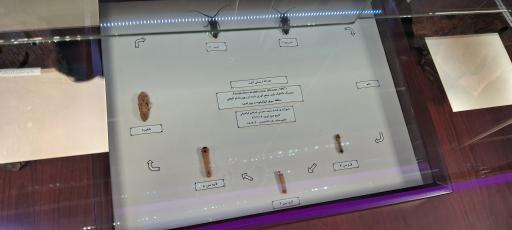 عکس موزه حشره شناسی 