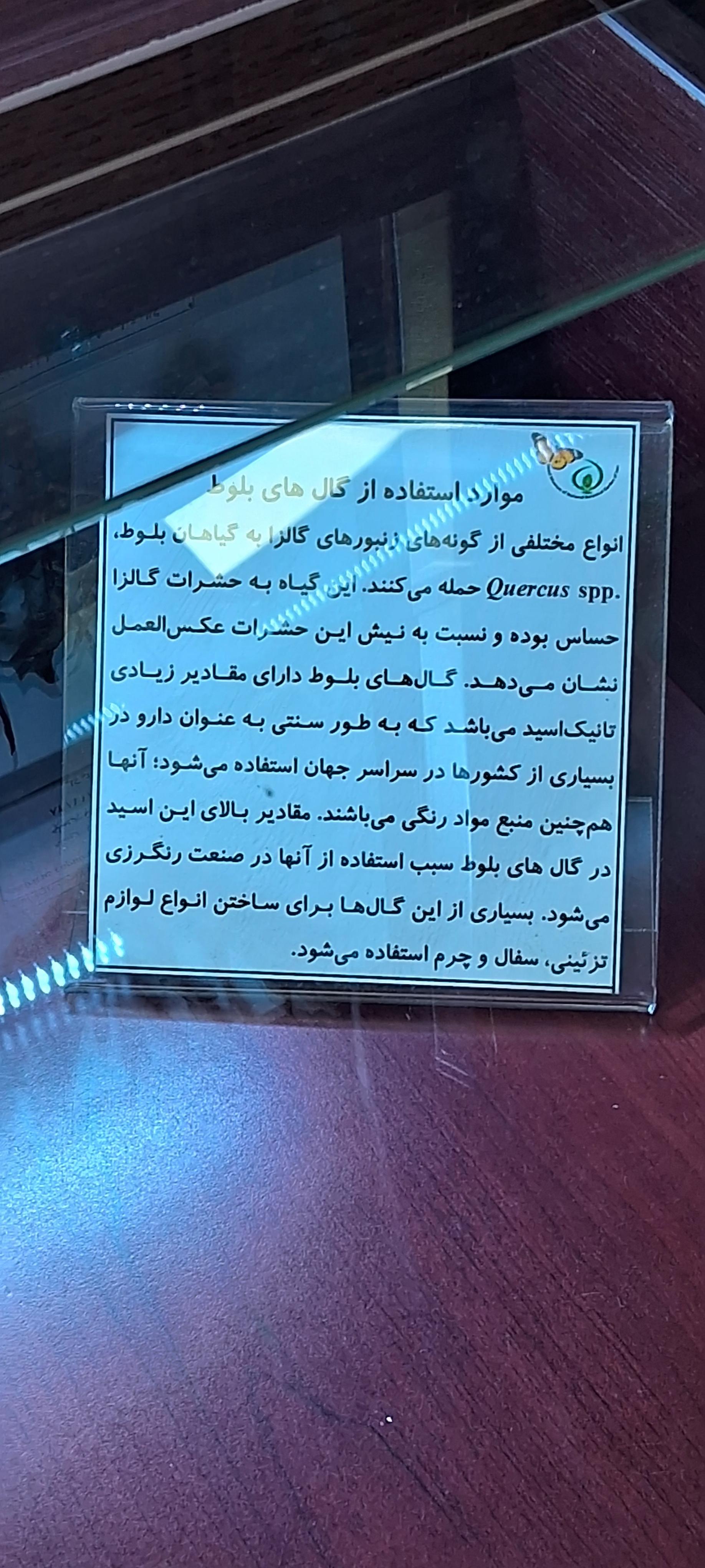 عکس موزه حشره شناسی 