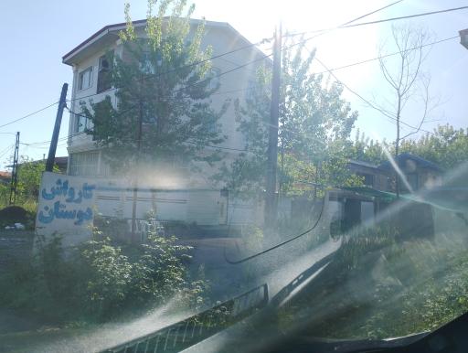 عکس کارواش دوستان