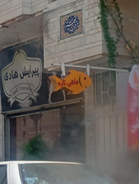 عکس پیرایش هادی