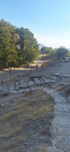 عکس بام گلدشت