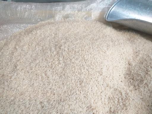 عکس برنج سرای شمال