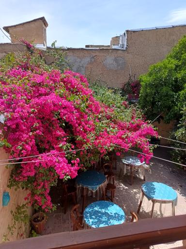 عکس عمارت قوام الملک