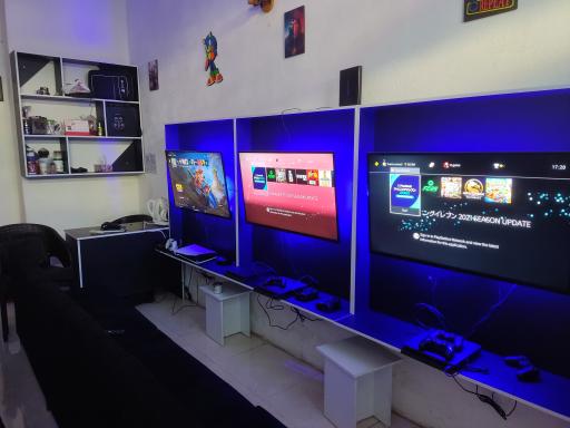 عکس گیم نت کاکتوس