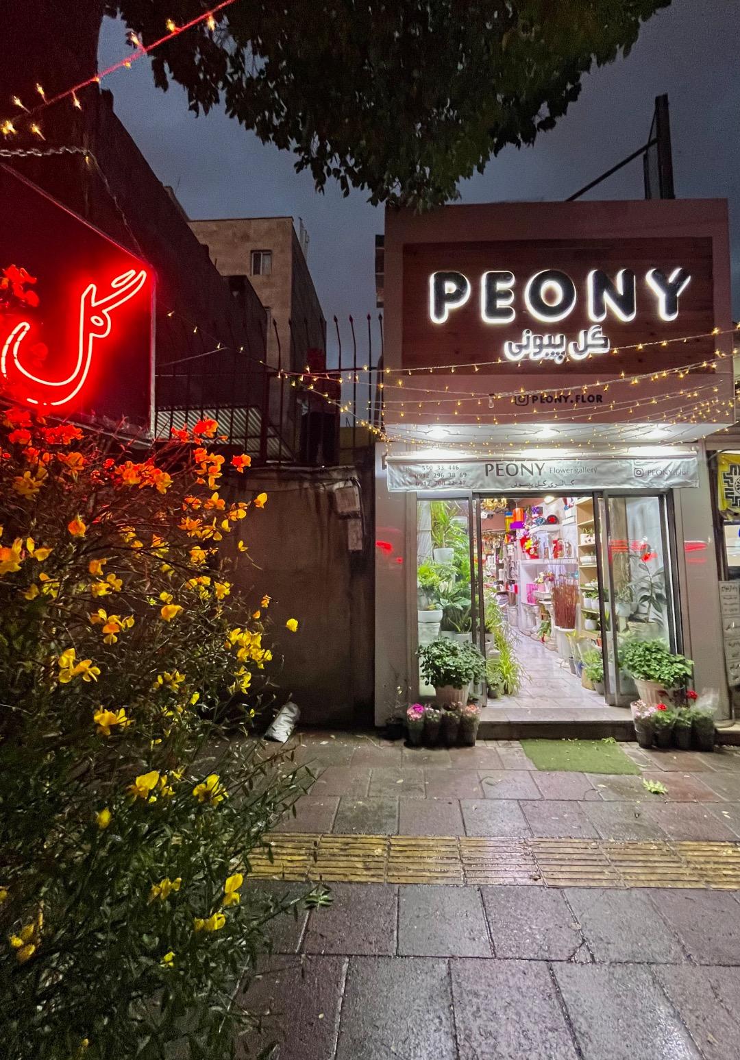 عکس گل فروشی پیونی