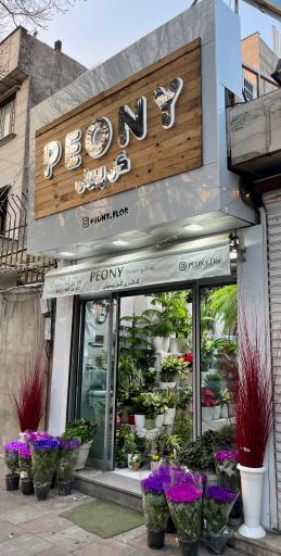 عکس گل فروشی پیونی