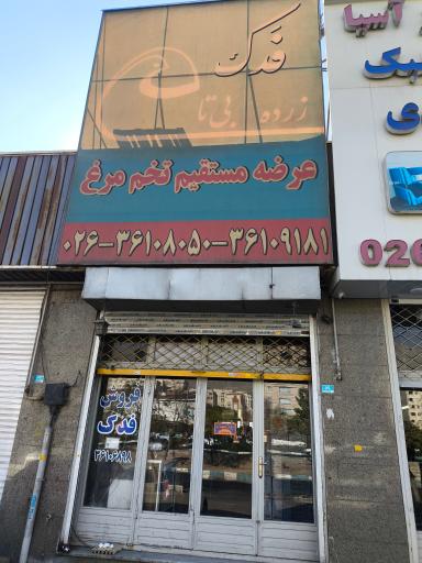 عکس پخش تخم مرغ فدک 2