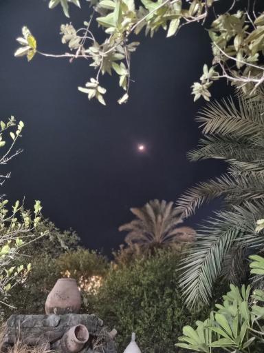 عکس شو نشین دفاری