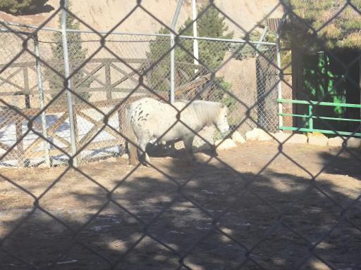 عکس پارک وحش صفه