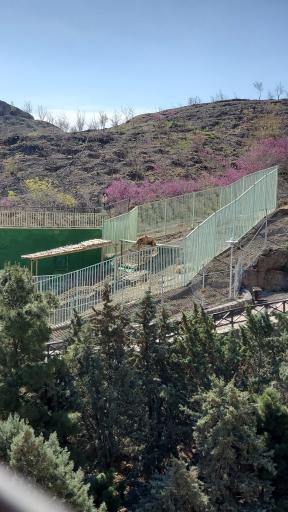 عکس پارک وحش صفه