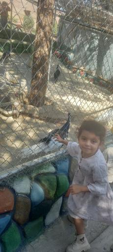 عکس پارک وحش صفه