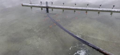 عکس دریاچه مصنوعی پارک کوثر