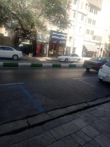 عکس مزون الماس