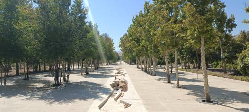 عکس باغ ایرانی شیراز